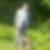 Profilbild von Patrick Dolibois