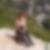 Profilbild von Rita Ingmanns