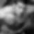 Profilbild von Max Willms