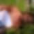 Profilbild von Daniela van der Linde