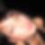 Profilbild von Lynn Spengler