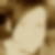 Profilbild von Stefanie Hentrich
