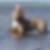 Profilbild von Gabriele Seyfried