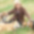 Profilbild von Christa Rocquin