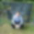 Profilbild von Rainer Koppke