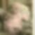 Profilbild von Gisela Waesse