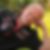 Profilbild von Michael Krauth