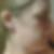 Profilbild von Ina Obu