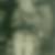 Profilbild von Eliane Roth