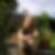Profilbild von Sandra Buchholz