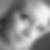 Profilbild von Isabell Herrmann