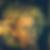 Profilbild von Anne Becker