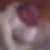 Profilbild von Sandra Appelt