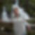 Profilbild von Cornelia Suhm
