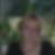 Profilbild von Andrea Röttgers geb, Nickesen