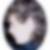 Profilbild von Uwe Dolz