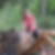 Profilbild von Kathleen Liedert