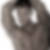 Profilbild von Torsten Fischer