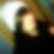 Profilbild von Sina Meng
