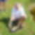 Profilbild von Hermann Huef