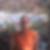 Profilbild von Oliver Fricke