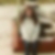 Profilbild von Ina Birkner