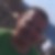 Profilbild von Harald Steinhöfer