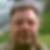 Profilbild von Michael Sperling