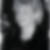 Profilbild von Katrin Hennig