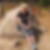 Profilbild von Alexandra Hunt