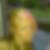 Profilbild von Lisa Bouwer