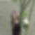 Profilbild von Maria Herter