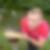 Profilbild von Boris Dziabel