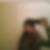 Profilbild von Kim Buls