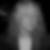 Profilbild von Thomas Morgenroth