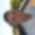 Profilbild von Sven Mock