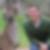 Profilbild von Andreas Schweizer