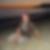 Profilbild von Patrik Woltering