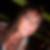 Profilbild von Caroline Kleist