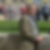 Profilbild von Karl Böhme