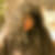 Profilbild von Skinny Norris