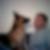 Profilbild von Mike Kirstein
