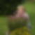 Profilbild von Ina Weinhage