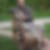 Profilbild von Andreas Koppel