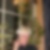 Profilbild von Sabine Schönfeld