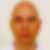 Profilbild von Andreas Posselt
