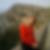 Profilbild von Christine Mirbach