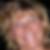 Profilbild von Michaela Lutterbeck