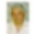 Profilbild von Günther Grasser
