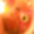 Profilbild von Julia Steffen